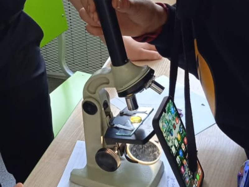 Использование микроскопа с камерой для изучения строения и физиологии растительных клеток.